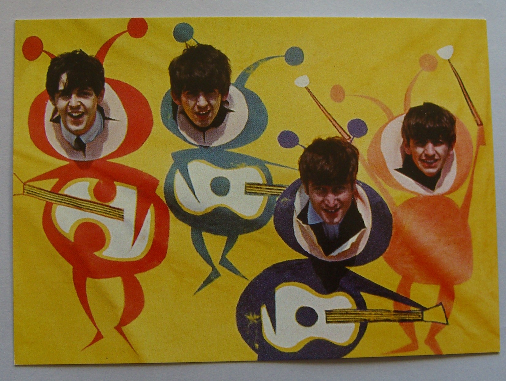 Bug Bodies Colour Photo
